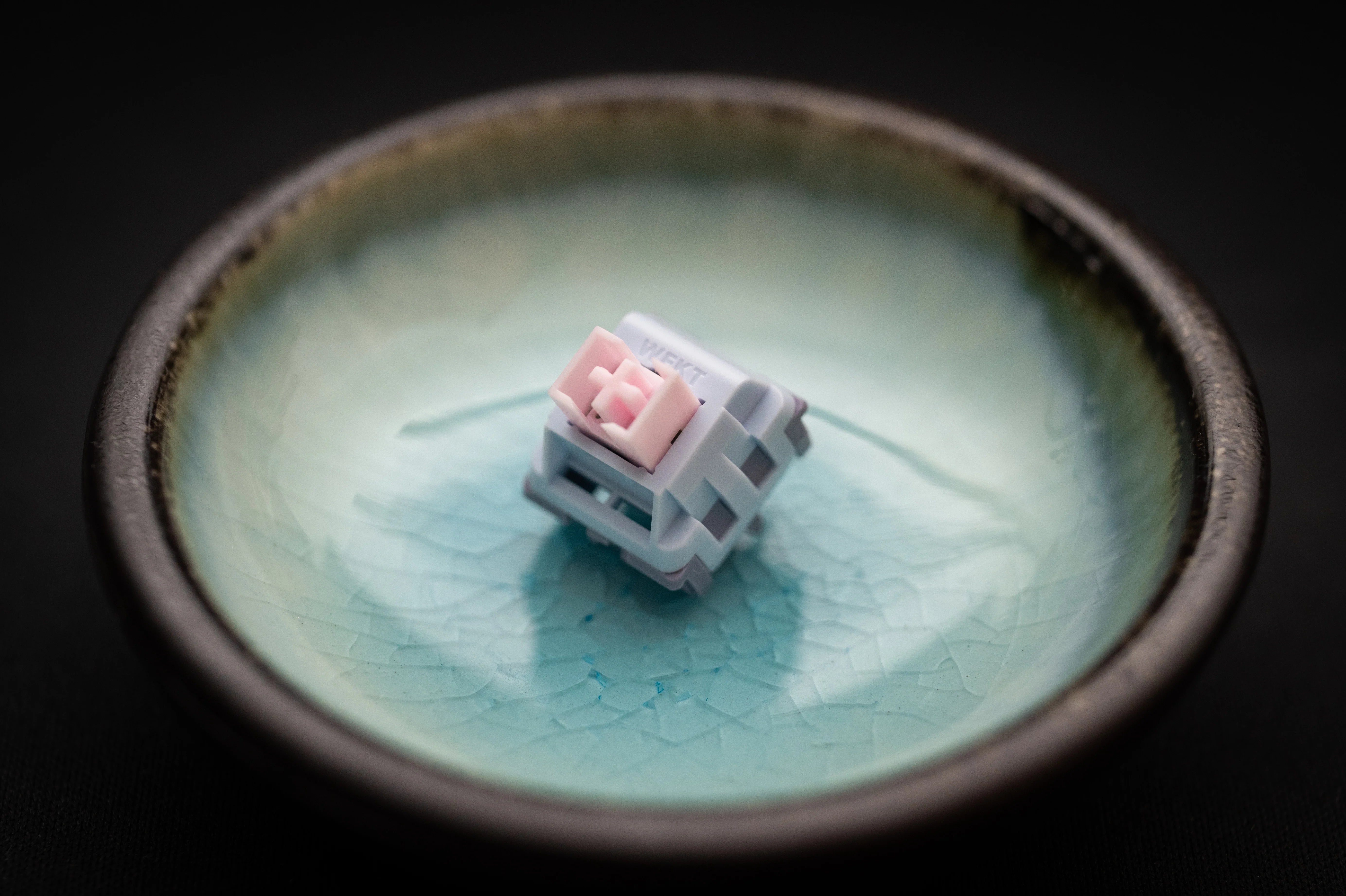 Gentle Lucy V5 Switch